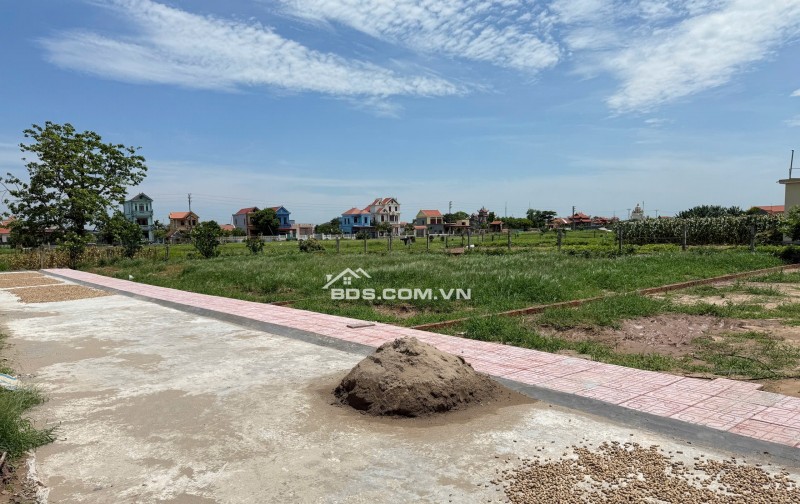 SỐC 14 Lô Đất Giá Rẻ Nhất Quất Lâm  Vị Trí Đẹp, Sổ Sẵn, Mua Là Lãi!